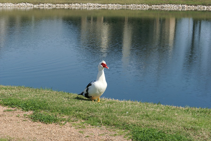 DSC00005